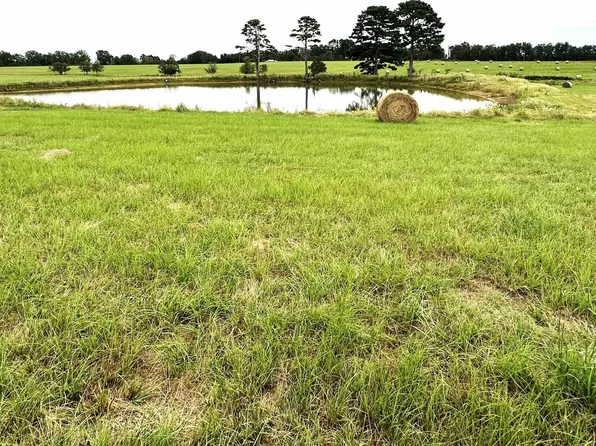 80 Spires Rd, Greenbrier, AR 72039