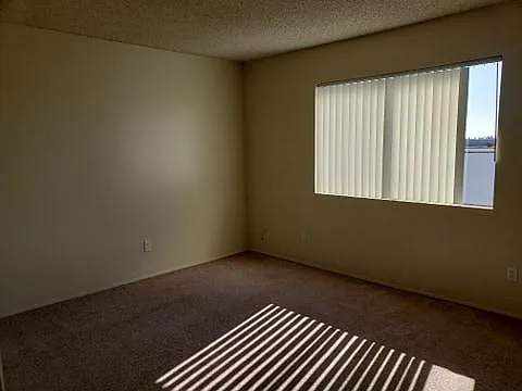 4850 Williamsburg Ln #11 — Photo 9