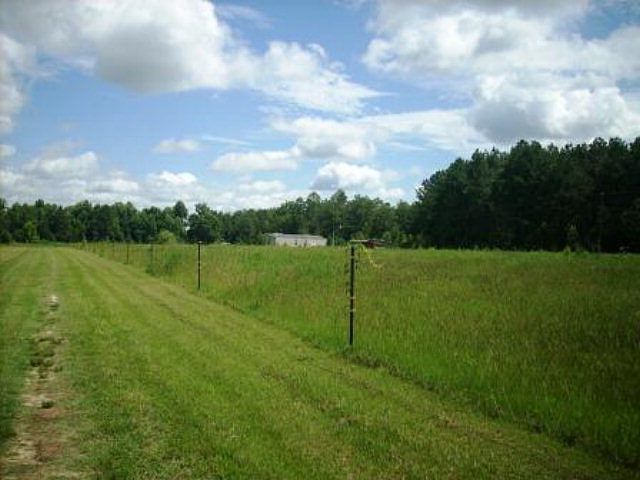 2nd image of 831 Ed Youmans Rd