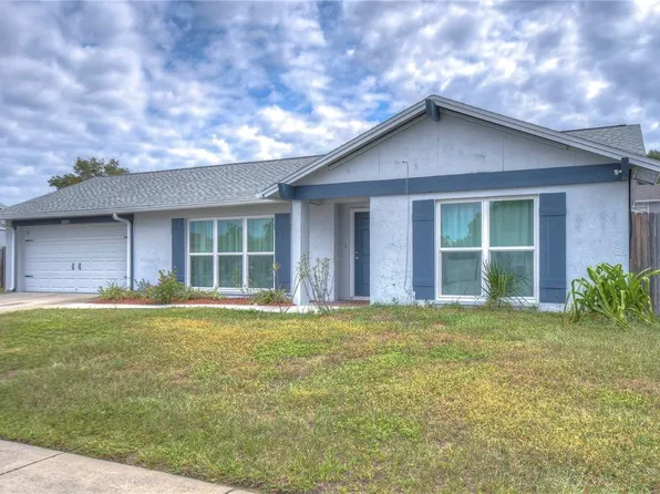 12513 Brucie Pl, Tampa, FL 33625