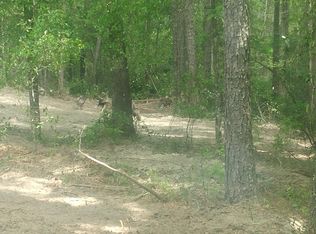 2507 Rabbit Ct, Middleburg, FL 32068