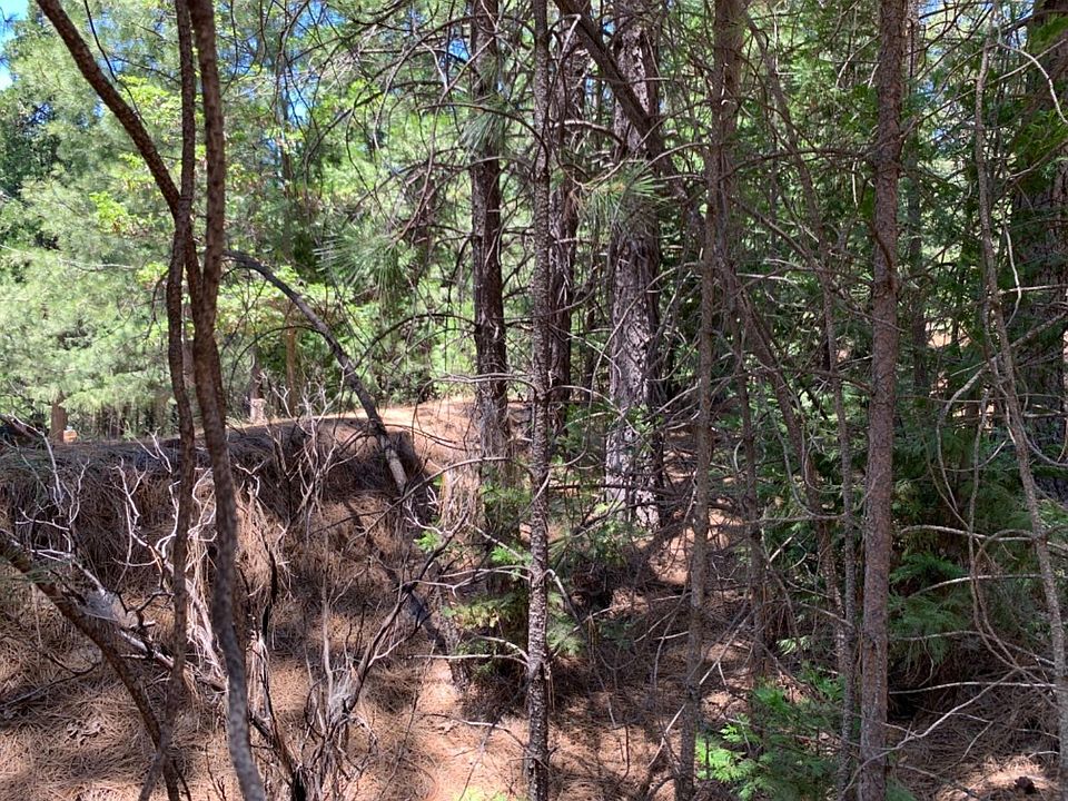 2nd image of 5314 Pine Ridge Dr