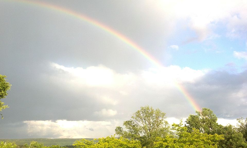 View from the front porch