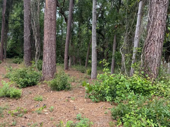 134 Palmera Ln, Brunswick, GA 31525