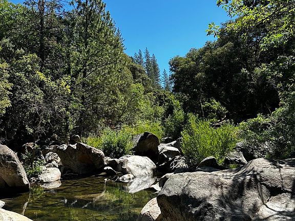 5th image of 14745 River Trl