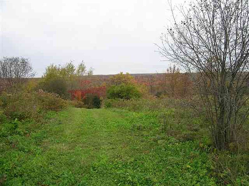 4th image of 0 VAN PATTEN Road