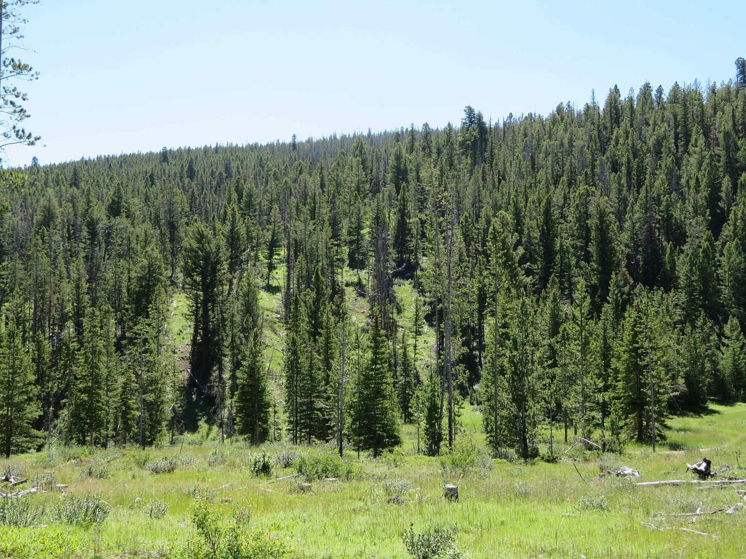 Luna Quartz Hill Rd, Wise River, MT 59762 Zillow