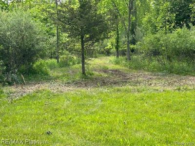 Faussett Rd, Fenton, MI, 48430