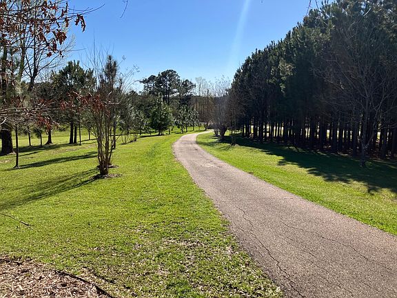 Driveway from the north gated entrance.