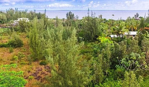 2nd image of 1st Ave Lot 2939