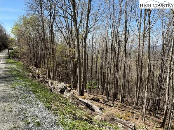 137, 139, 141, and 143 W Blueberry Lane, Beech Mountain, NC 28604