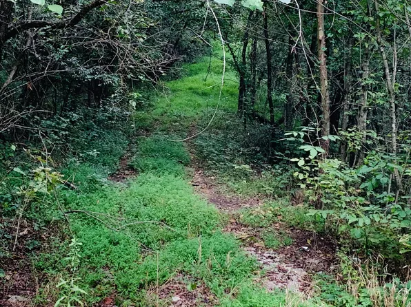 0 John Barnes Rd Lot 4, Cornersville, TN 37047
