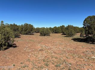8656 Bonito Dr, Show Low, AZ 85901