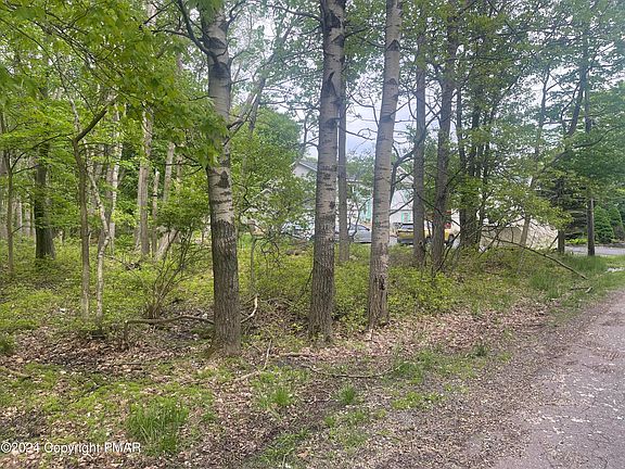 3rd image of 4007 Cedar Dr