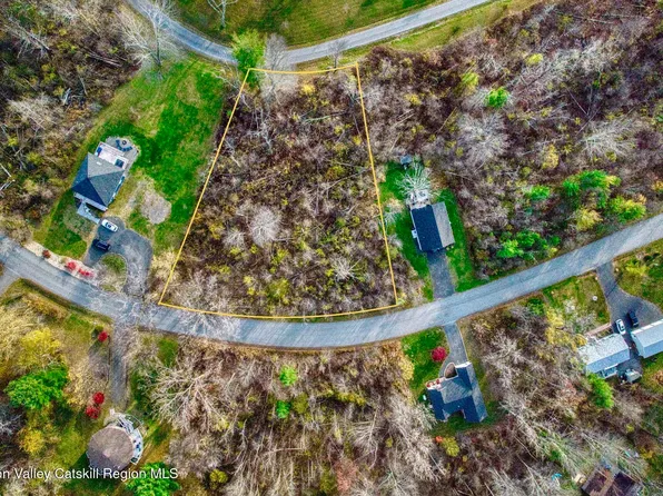 293 Tommy Trail, Athens, NY 12015