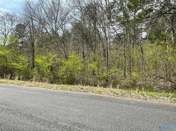 Kennamer Cove Dr, Woodville, AL 35776