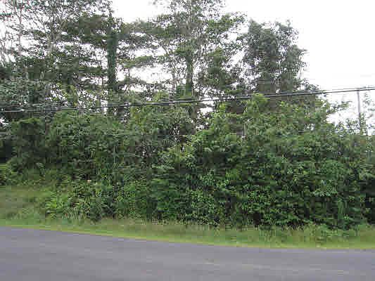 1st image of Nanawale Blvd Lot 59