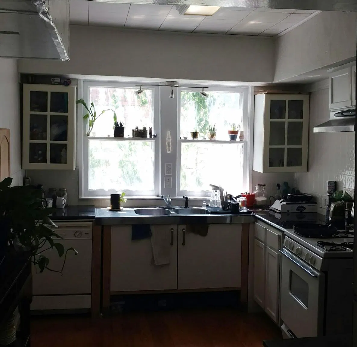 2 bed, 1000 sqft, $1,200 — Photo 3