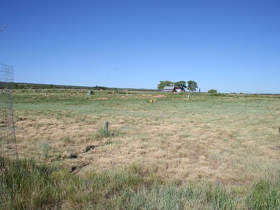 3rd image of Various Pne