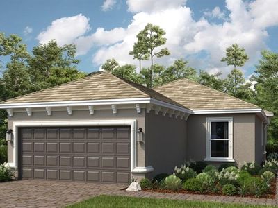3908 Cavour Ct, Wesley Chapel, FL, 33543