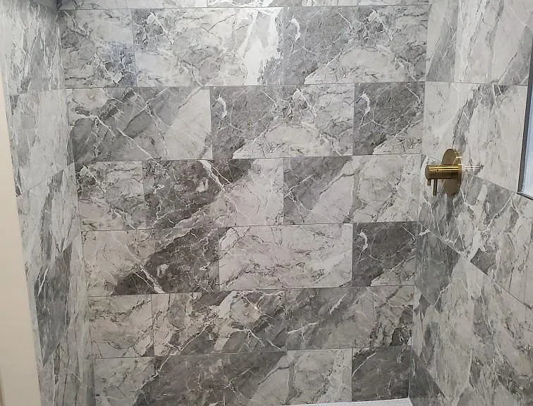 Modern lower level bathroom