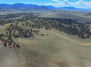 163 Yellowstone Rd, Hartsel, CO 80449