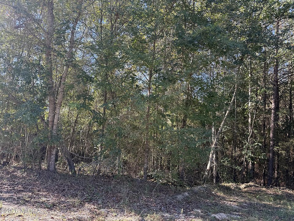 1st image of 3820 Cathy Dr