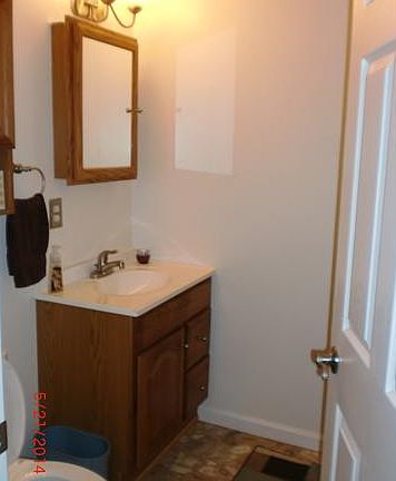 Owners' bath, updated, w/ shower