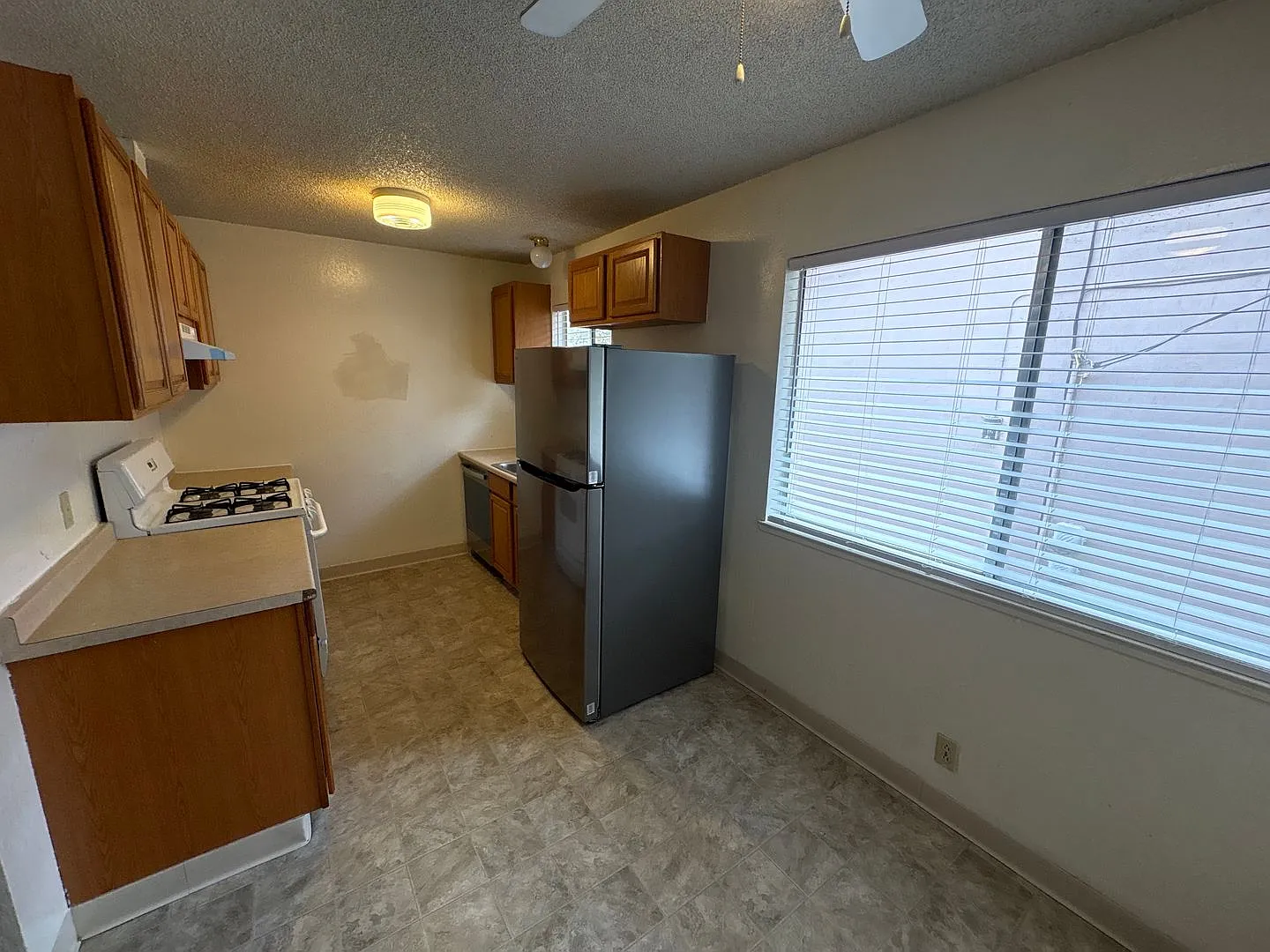 Webster, 405 — Photo 3