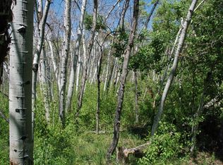 274 Aspen Park Ln, Bellvue, CO 80512