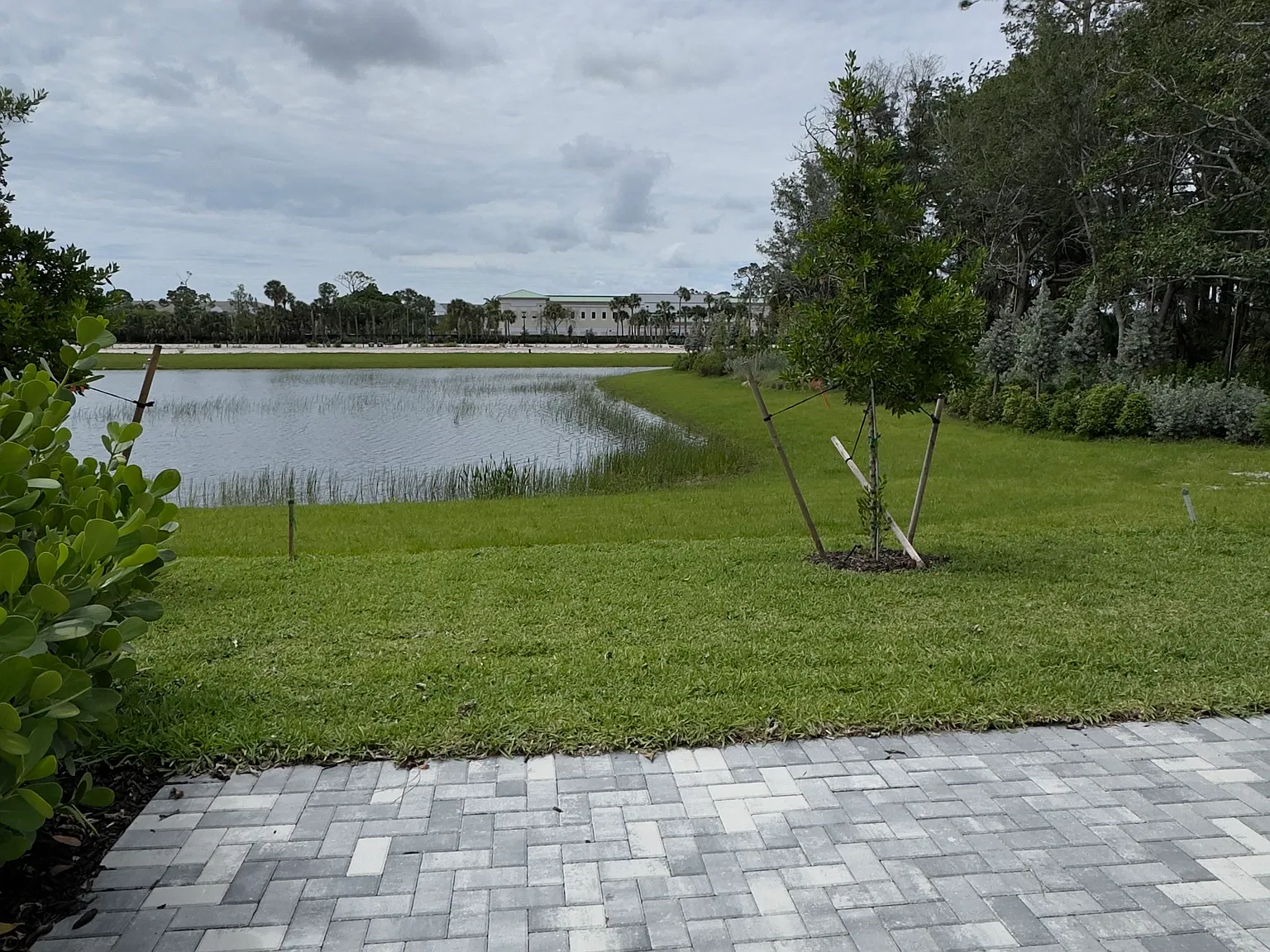 3 bed, 2.5 bath, 1550 sqft, $3,099 — Photo 2