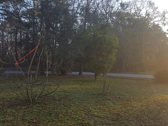 Fig trees and orange tree