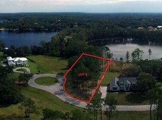 16133 Carencia Ln, Odessa, FL 33556