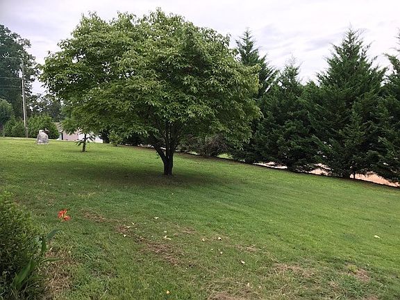 4th image of 350 Timberland Dr