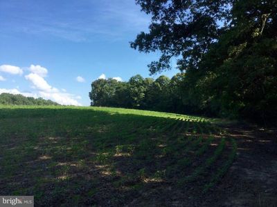 Canterbury Loop, King George, VA, 22485