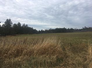 S Maple Rd, Dafter, MI 49724