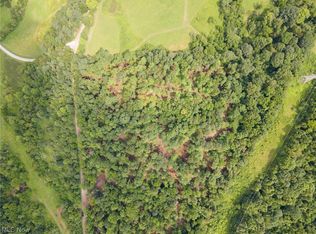 White Eyes Rd, New Concord, OH 43762