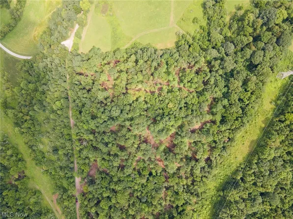 White Eyes Rd, New Concord, OH 43762