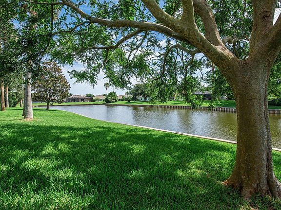 Lake Views