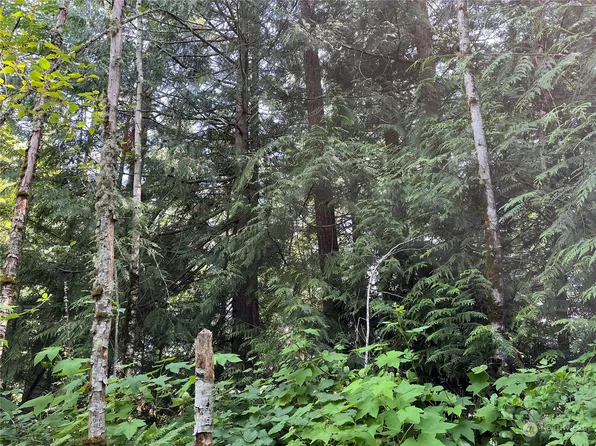0 University Street, Bellingham, WA 98229