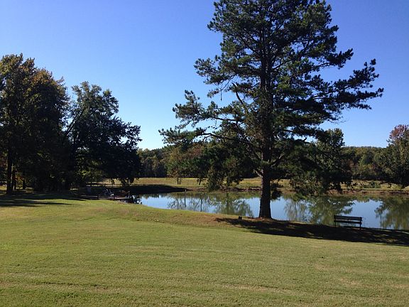 Backyard View