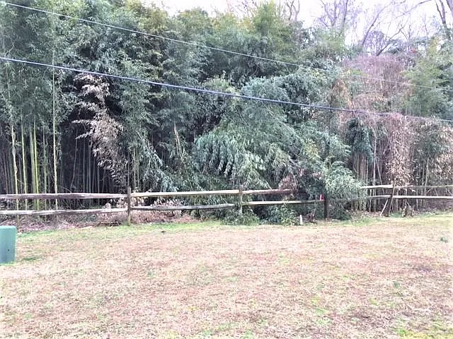 back yard open space