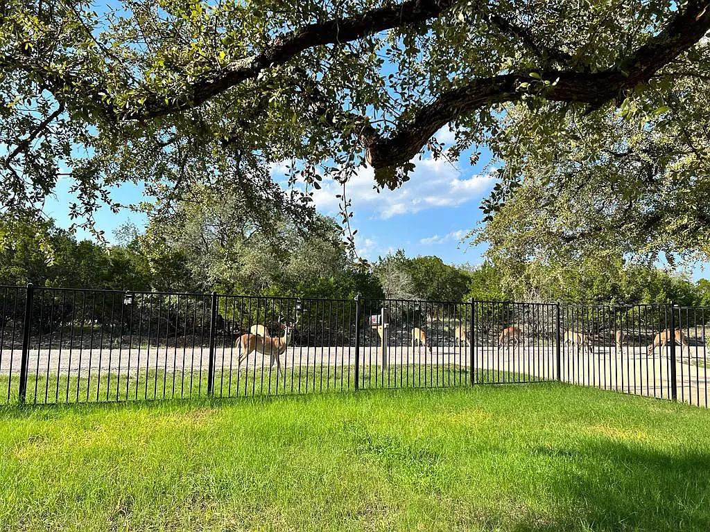 21513 Santa Carlo Ave — Photo 3
