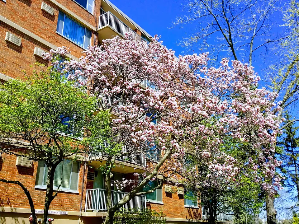 2211 S Stewart Ave #5E
