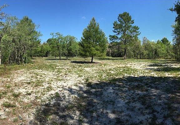 5th image of 2230 Tiger Creek Trl