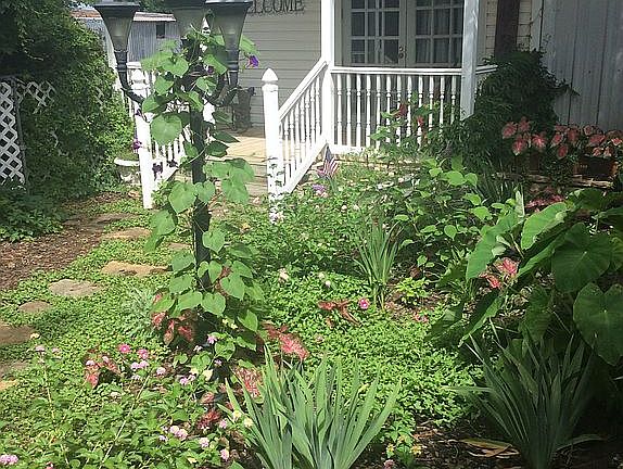 Guest house