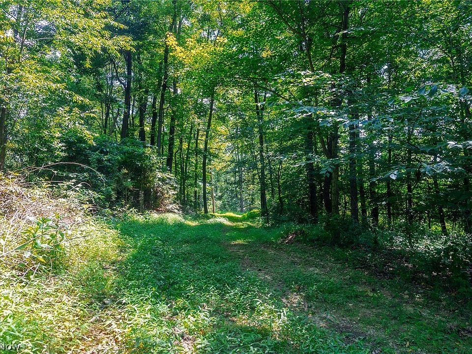 1st image of 31800 Chestnut Ridge Rd #1