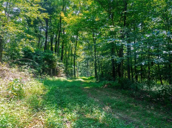31800 Chestnut Ridge Rd #1, Danville, OH 43014