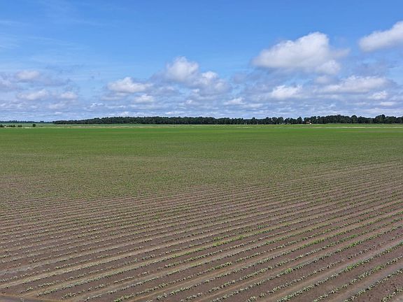 Dji 20260528120608 0130 D