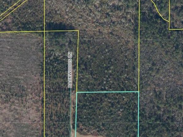 21000 BACKWOODS Lane, Sanderson, FL 32087